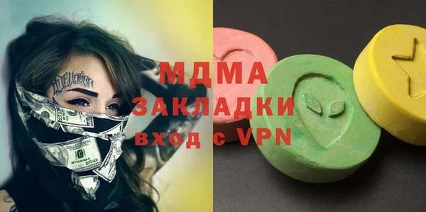 индика Алексин