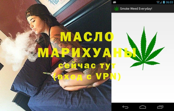 индика Алексин