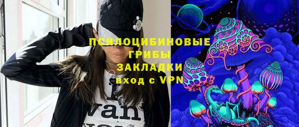 спиды Алексеевка