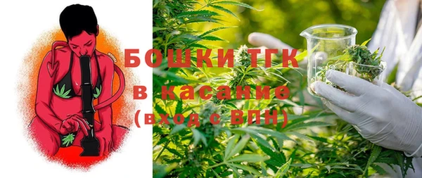 тгк Абаза