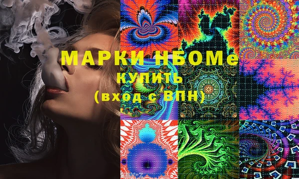 индика Алексин