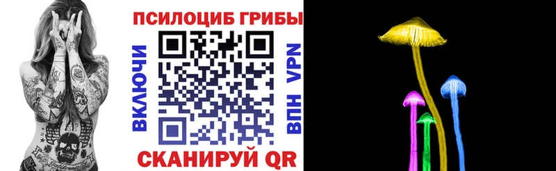 Псилоцибиновые грибы MAGIC MUSHROOMS Заводоуковск