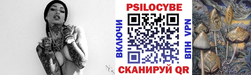 МЕГА ссылка  купить закладку  Заводоуковск  Псилоцибиновые грибы Psilocybe 