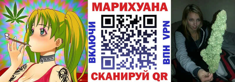 цена наркотик  Заводоуковск  Бошки марихуана сатива 